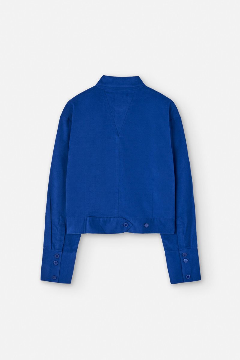 Suite13Lab Lure Shirt Cord, Royal Blue