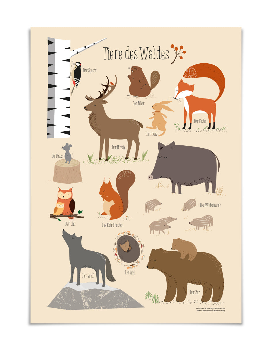 Poster Tiere des Waldes, DIN A3
