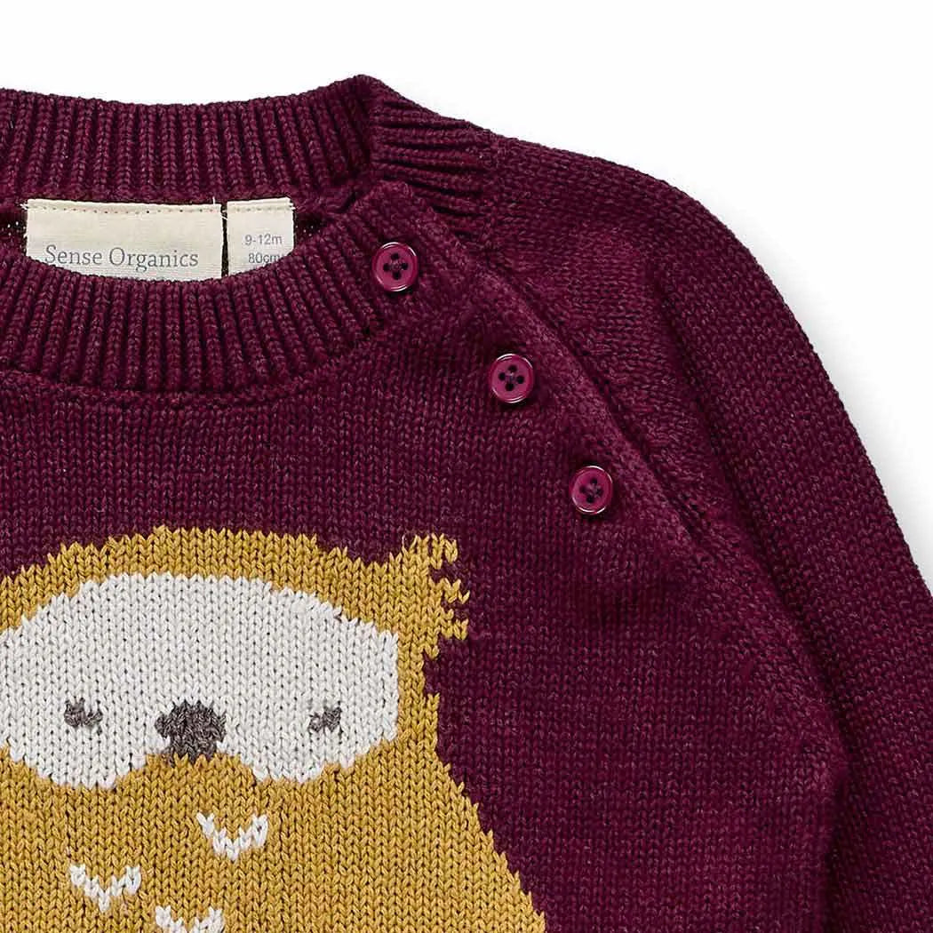 Sense Organics Baby-Strickpulli Navin, Eule