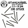 Corvus 100 Stk. Stahlnägel