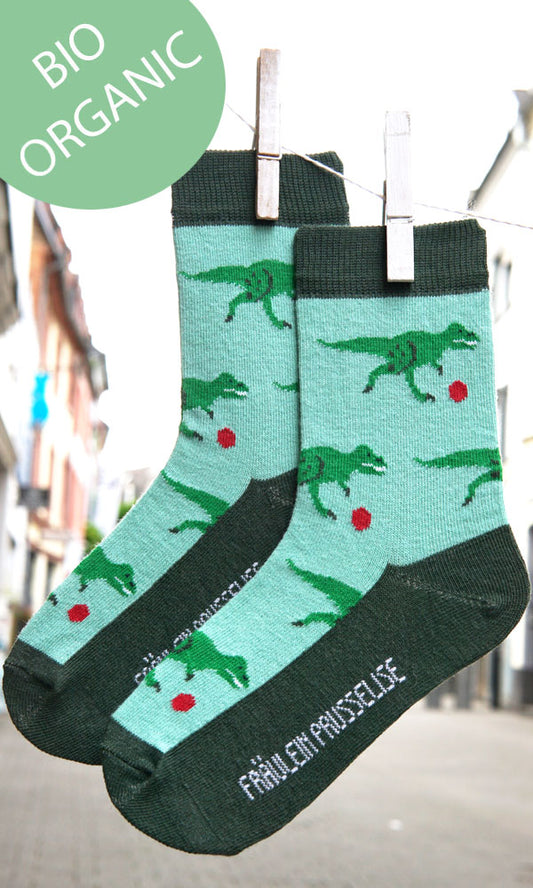 Bio Kindersocken Dino
