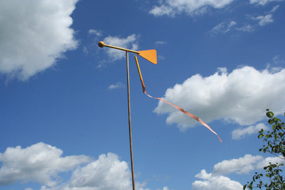 Kraul Wendehals, Windfahne