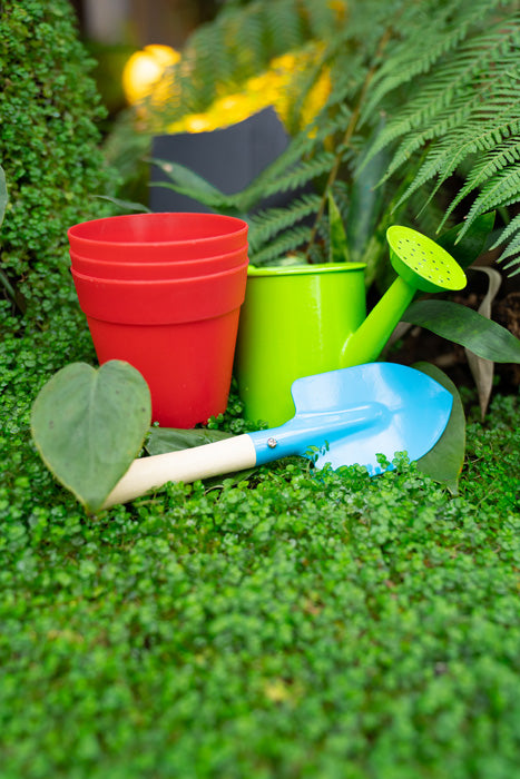 Pflanz- und Garten - Set