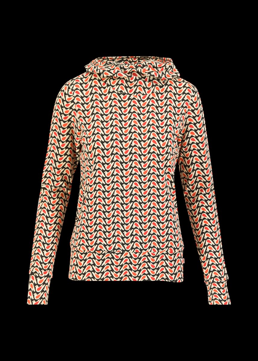 Blutsi Scuba Duba, cloudrider