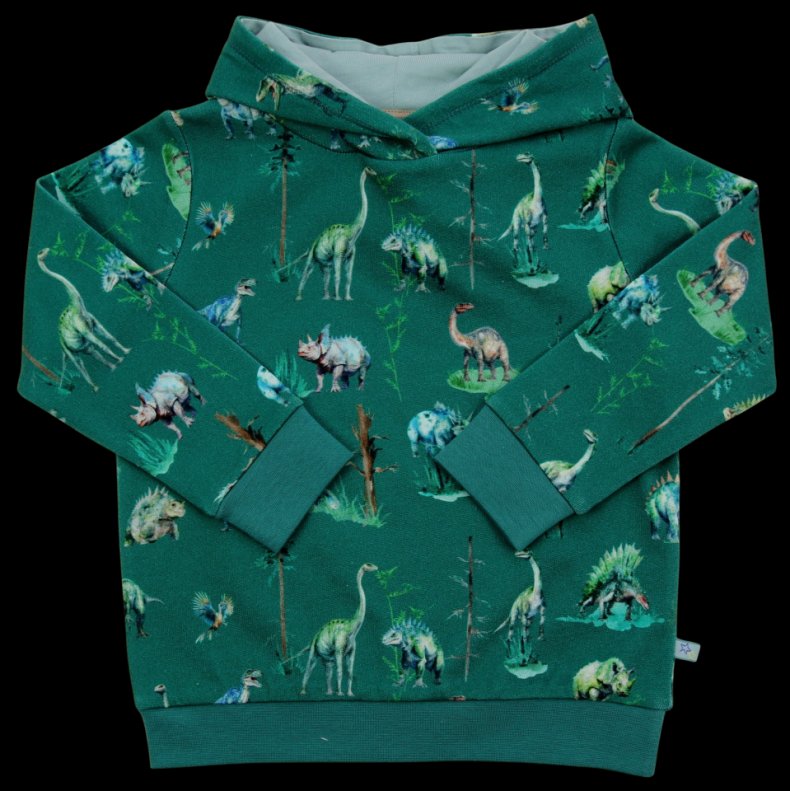 Enfant Terrible Hoodie, Dinodruck