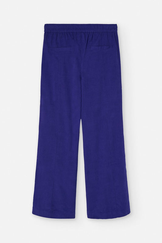 Suite13Lab Hovart Pants, Royal Blue