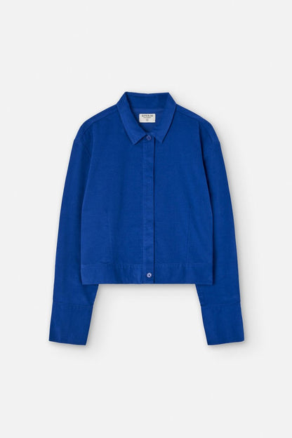 Suite13Lab Lure Shirt Cord, Royal Blue