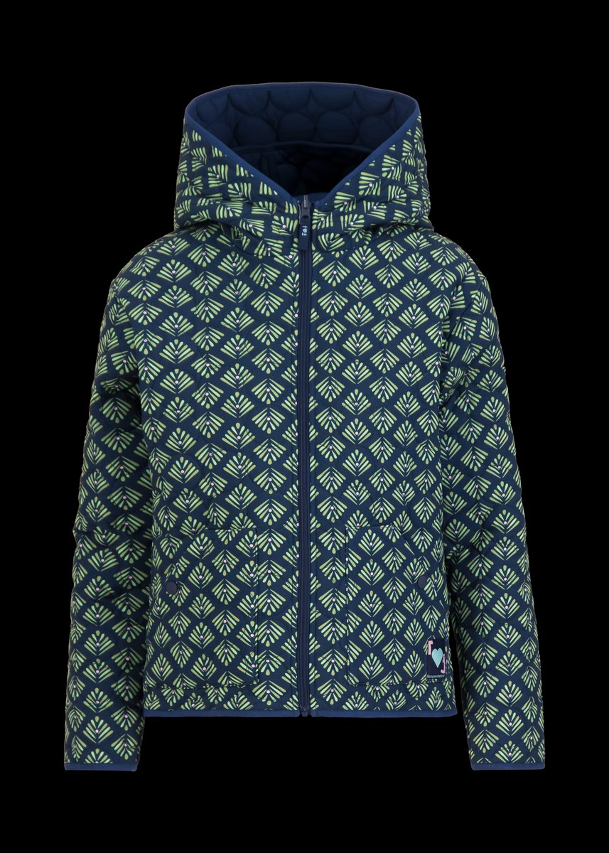 Blutsi Reversible Plopp