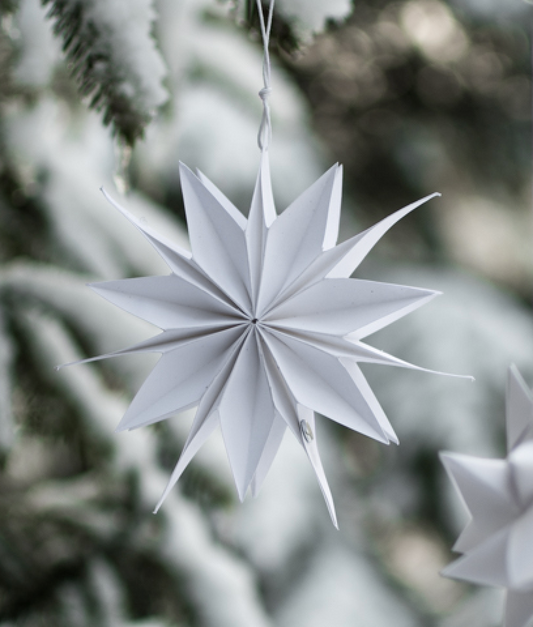 Storefactory Papierstern Dalskog groß