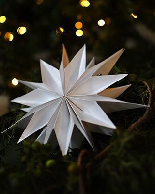 Storefactory Papierstern Dalskog klein