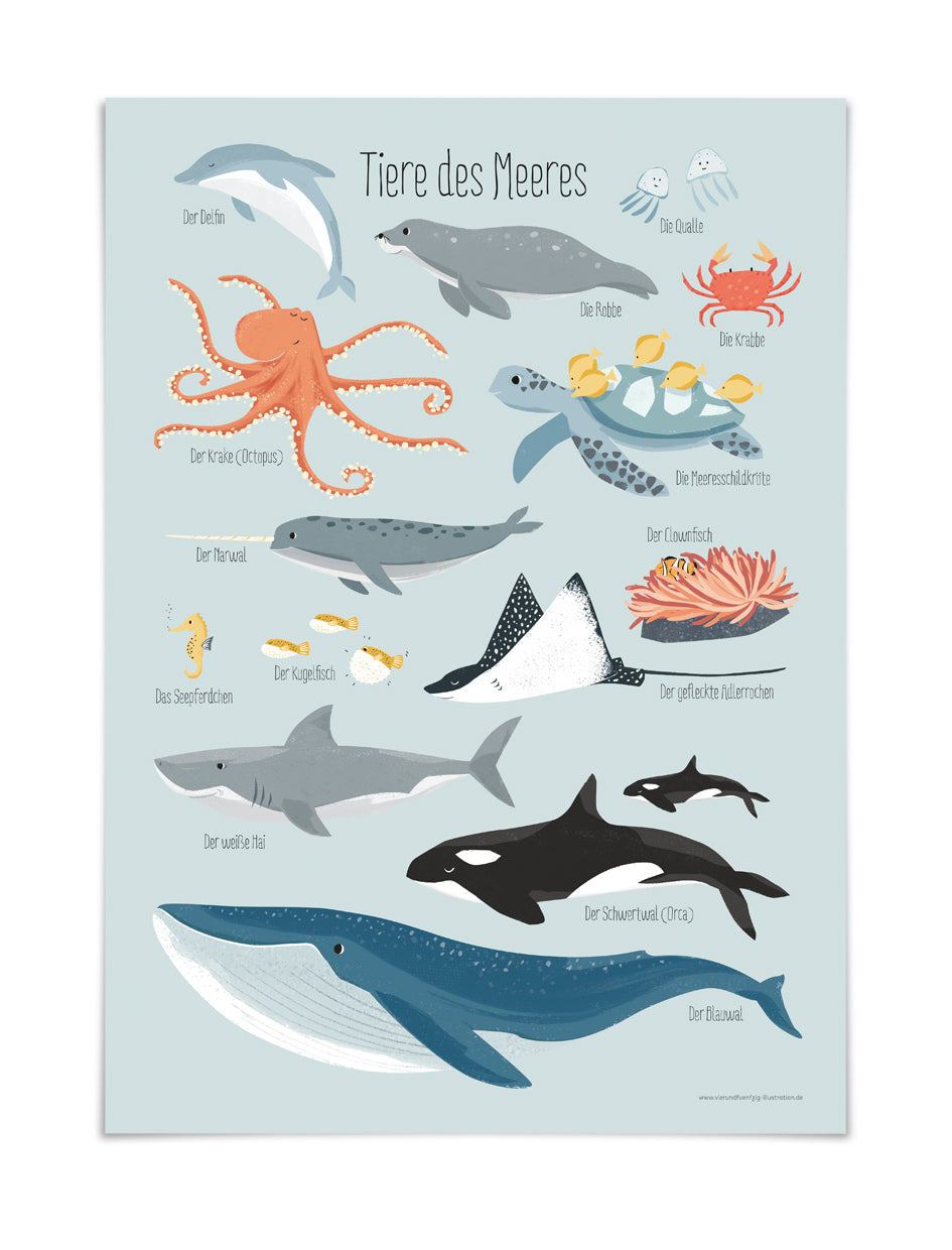 Poster Tiere des Meeres, DIN A3