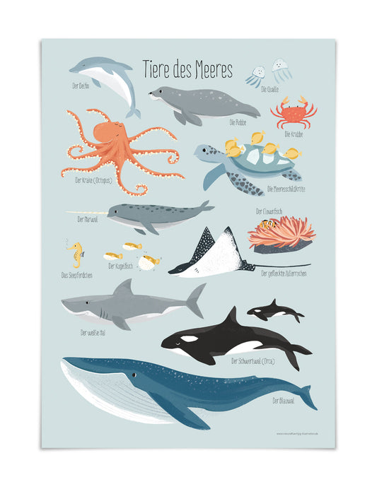 Poster Tiere des Meeres, DIN A3