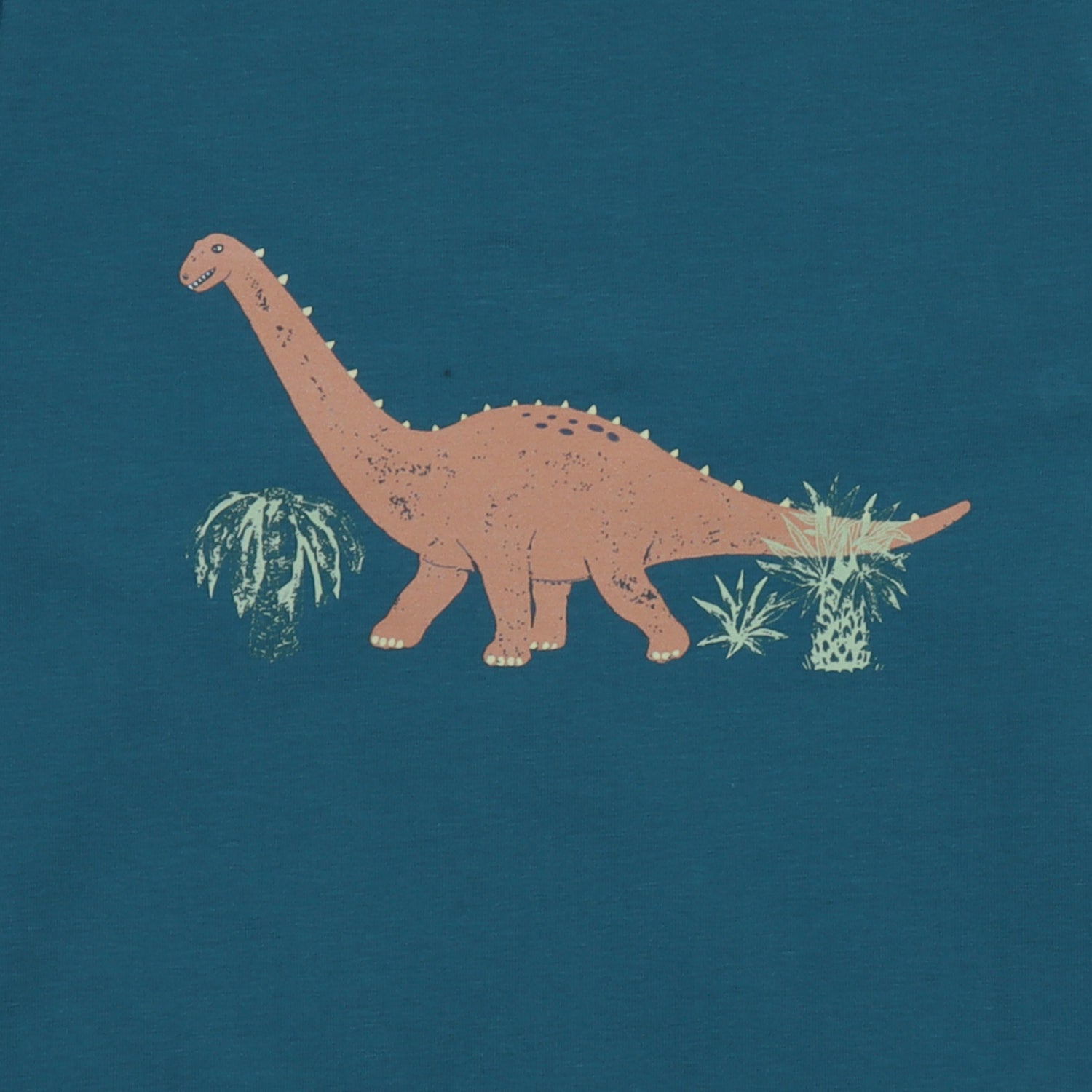 Walkiddy Langarmshirt Running Dinosaurs