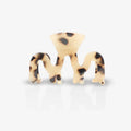 Sasstie Wave Cheetah