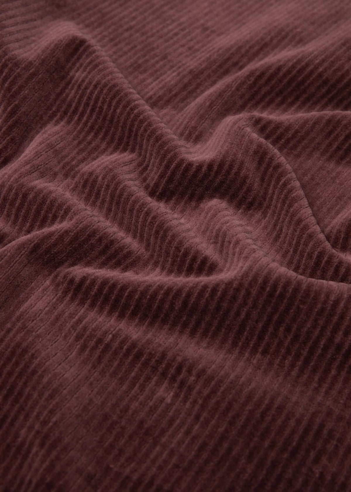 BG Culotte Jolly Marleen, fine needle brown
