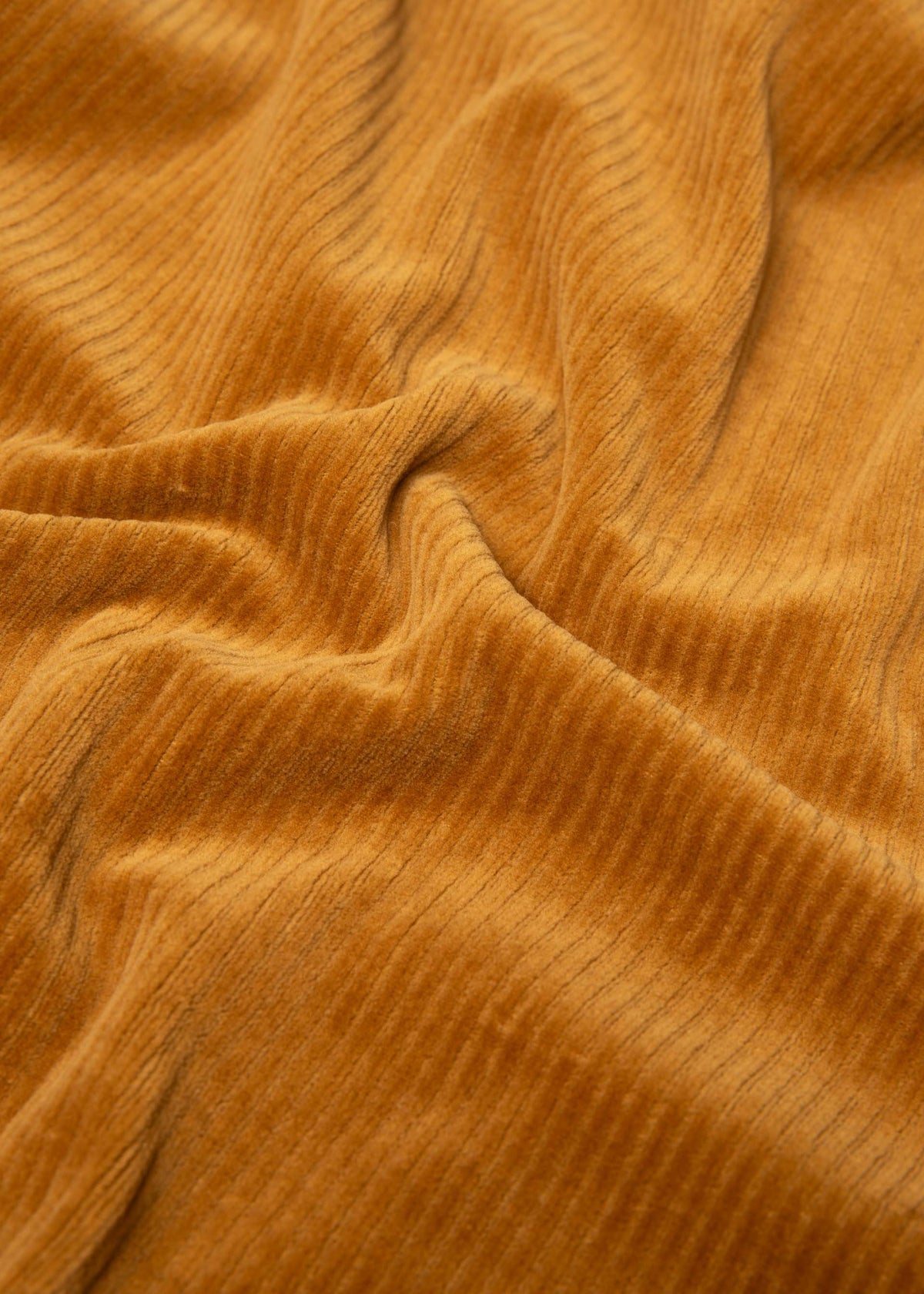 BG Culotte Jolly Marleen, golden grape taste
