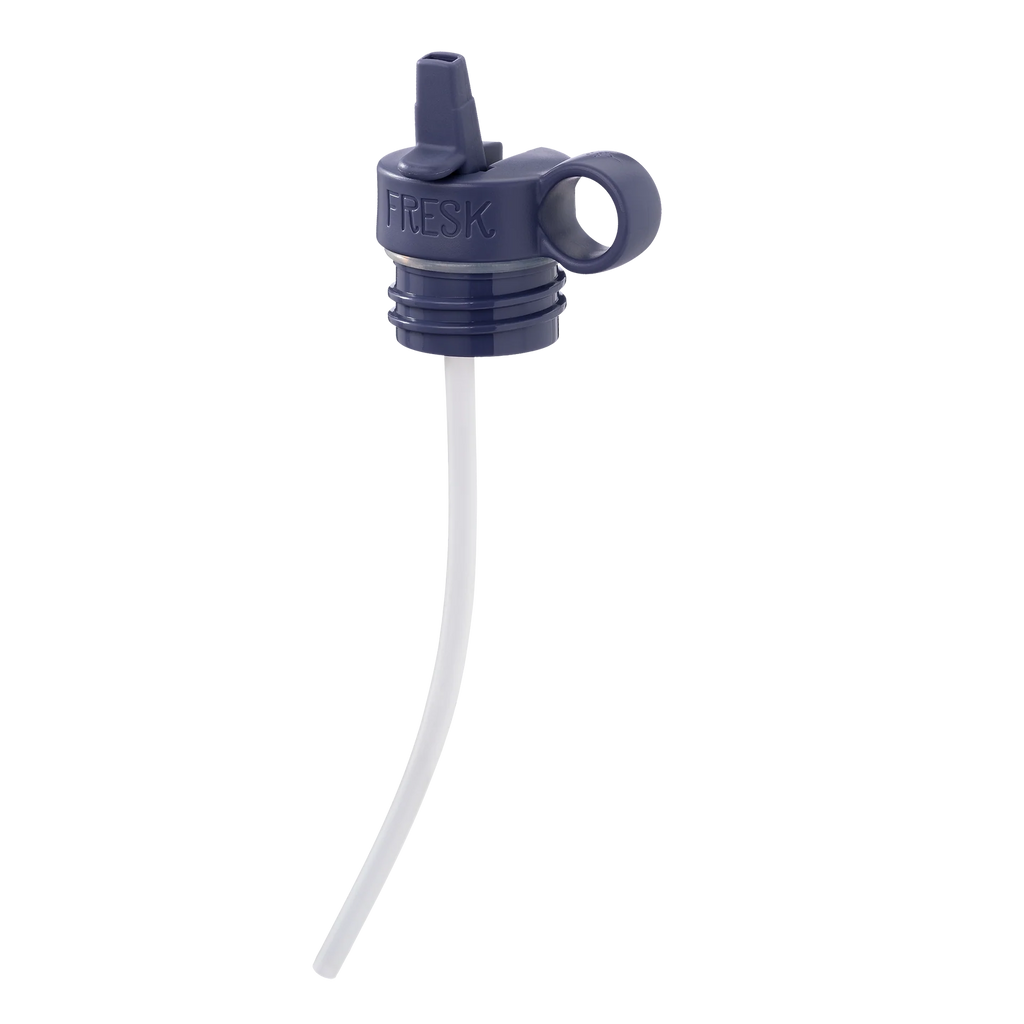 Fresk Thermosflasche aus Edelstahl 350ml, Dino