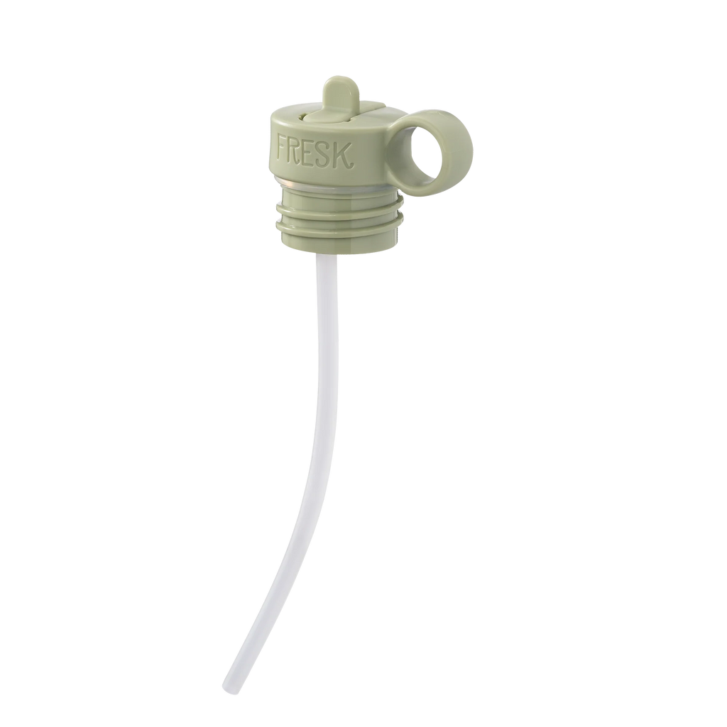 Fresk Thermosflasche aus Edelstahl 350ml, Krokodil