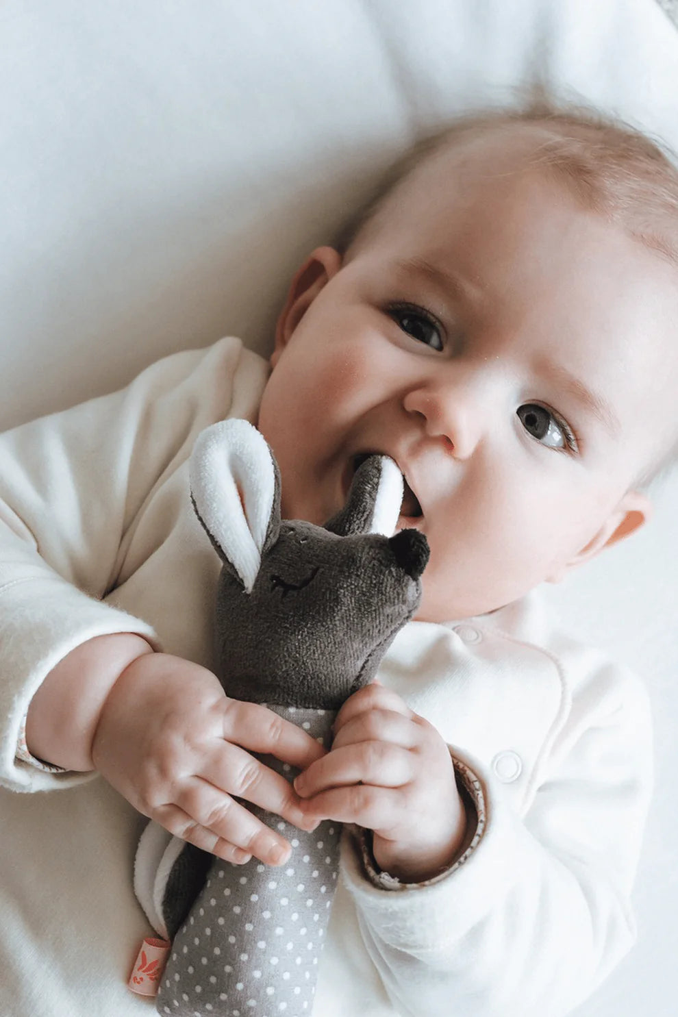 Kikadu Greifling Rehkitz