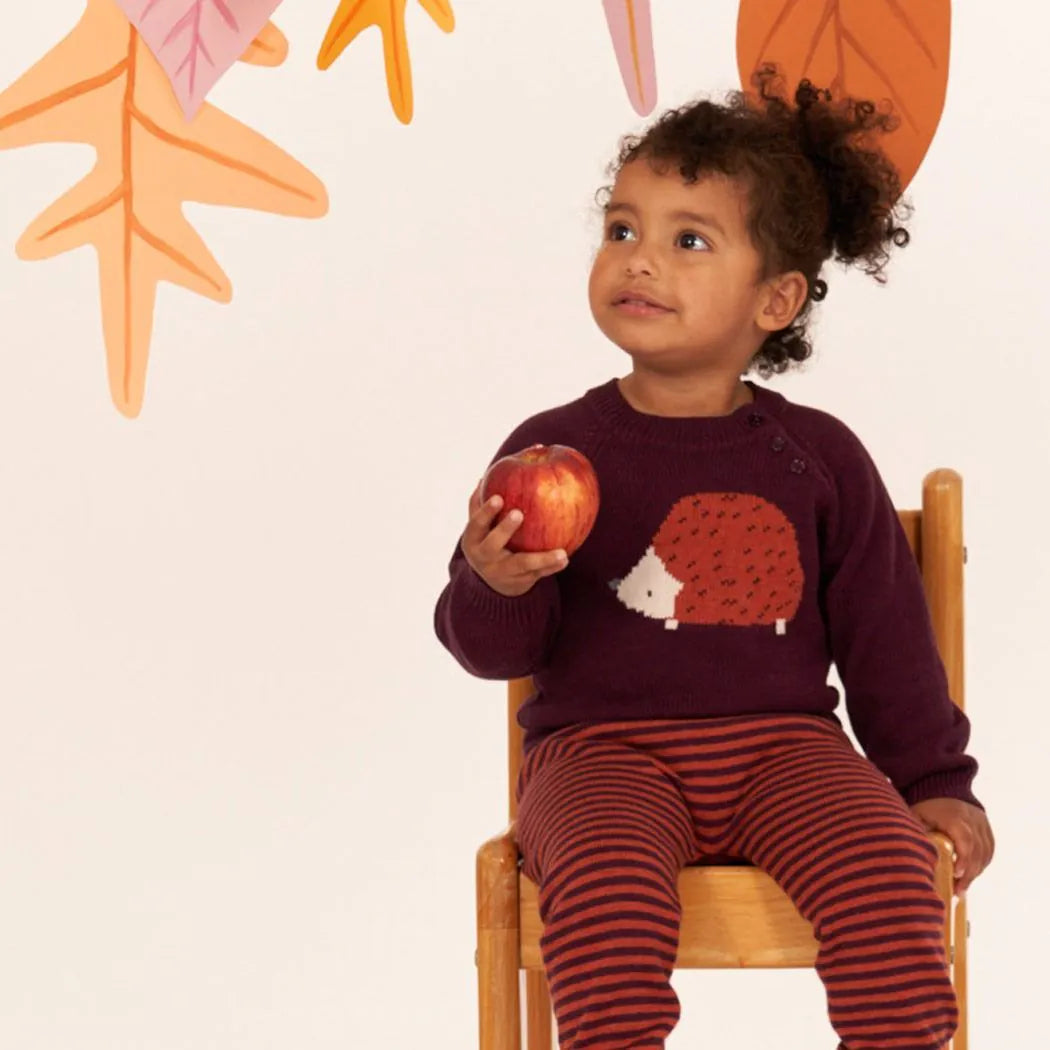 Sense Organics baby Strickpulli Igel/Bordeaux