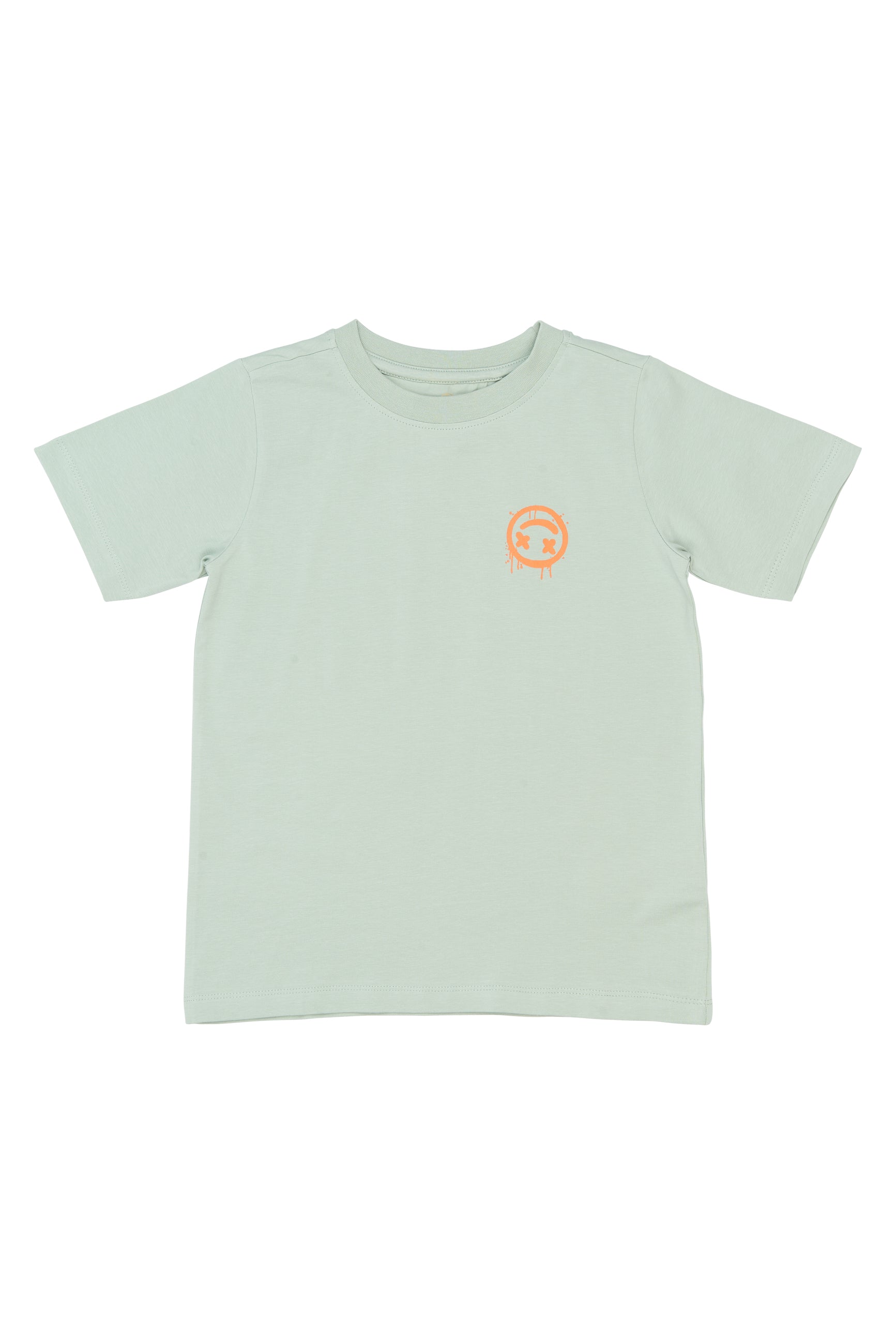The New T-Shirt Sander, aqua gray