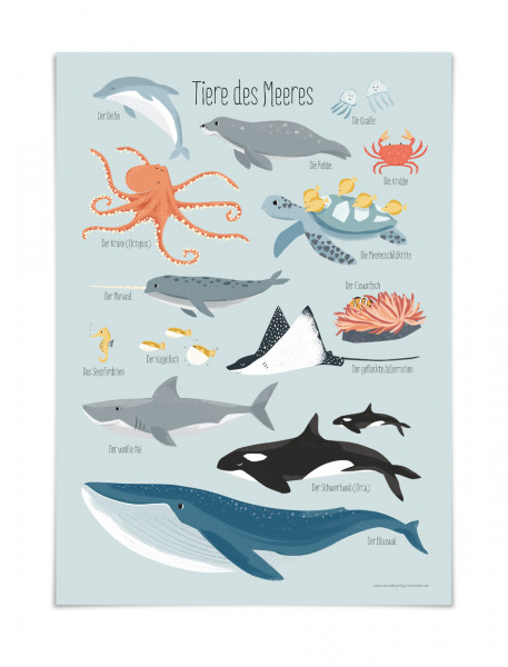 Poster, Plakat Tiere des Meeres, Meerestiere