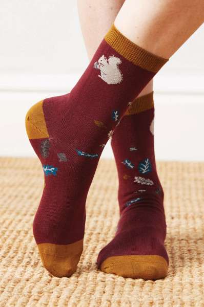 Nomads Socken Squirrel, Raisin | Bunte Socken aus Bio-Baumwolle bei Das bunte Chamäleon